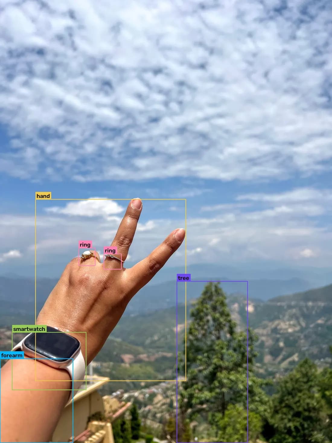 First-person photos: hands, forearms and what they're holding — raw frame and labeled output